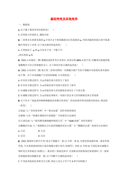 2022高考生物一轮复习课时练24基因突变及其他变异含解析新人教版