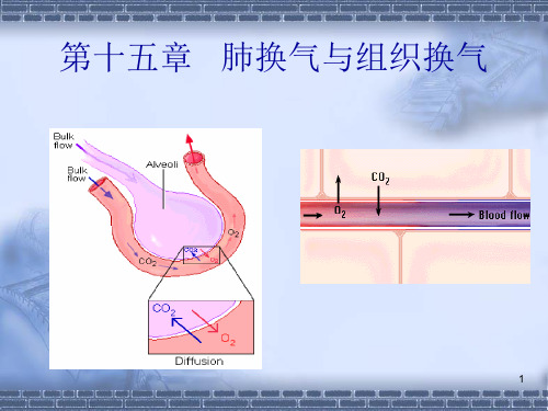 肺换气与组织换气