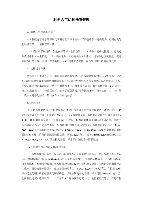 杉木人工林抚育技术