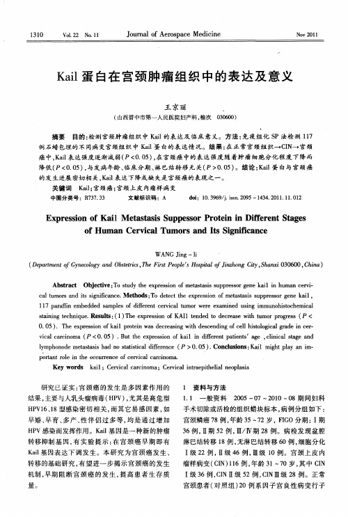 Kail蛋白在宫颈肿瘤组织中的表达及意义