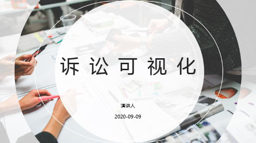 诉讼可视化