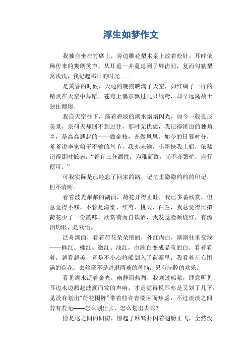 浮生如梦作文