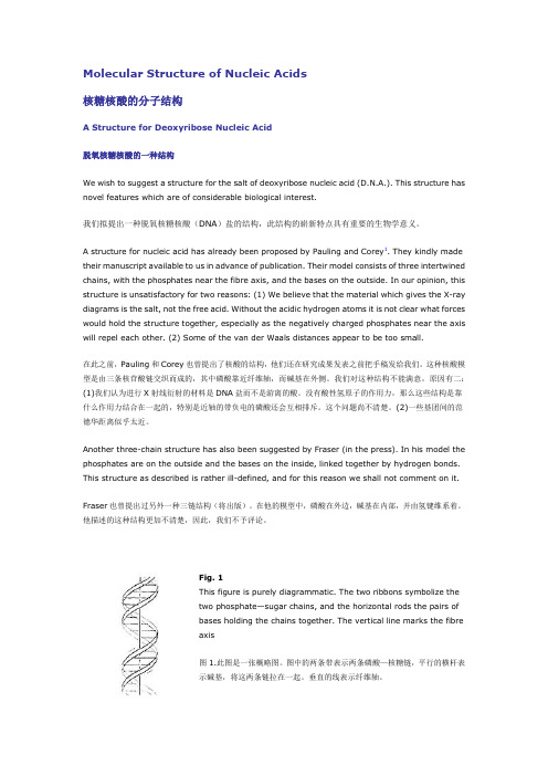 Molecular Structure of Nucleic Acids