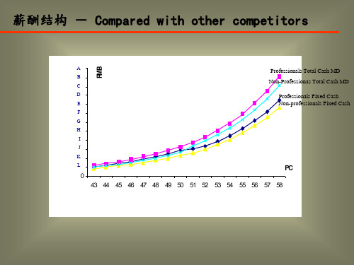薪酬结构(PPT18页)