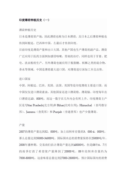 薄荷材料集合