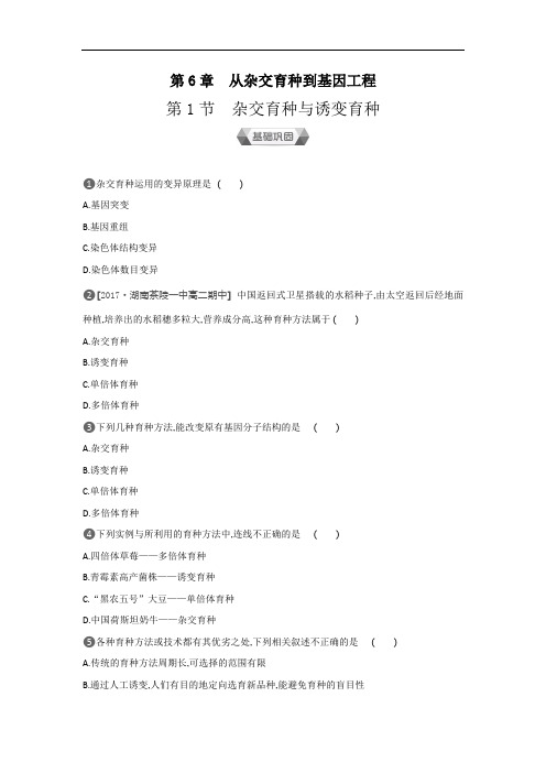 2019-2020学年生物人教版必修2练习：第6章第1节杂交育种与诱变育种 Word版含解析