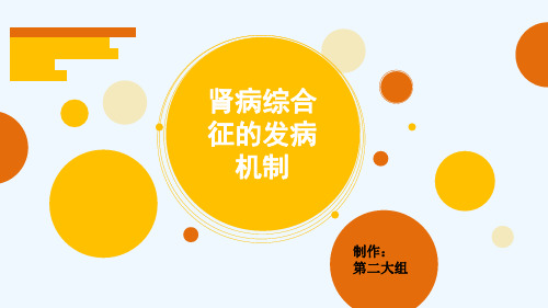 肾病综合征发病机制