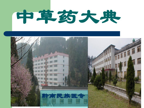 中草药大典