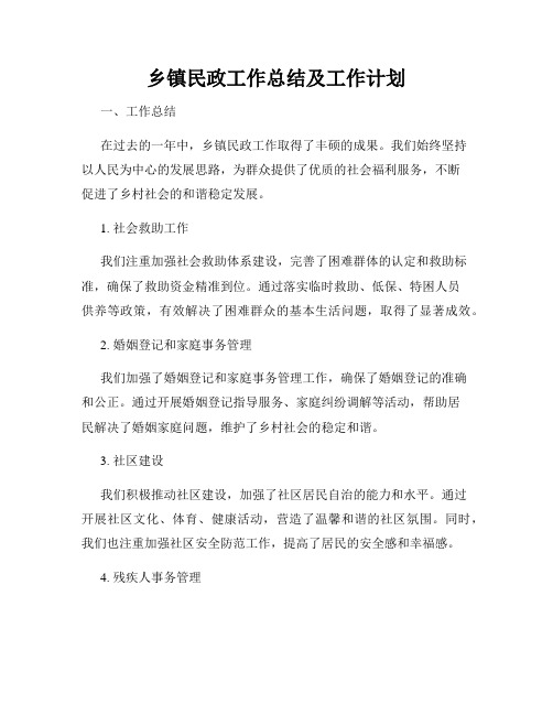 乡镇民政工作总结及工作计划