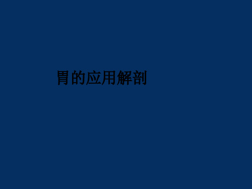 胃肠道间质瘤影像表现-PPT