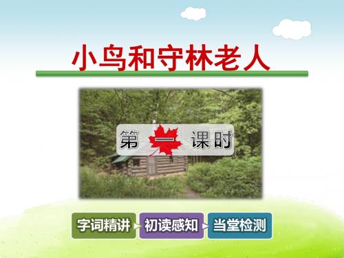 小鸟和守林老人PPT