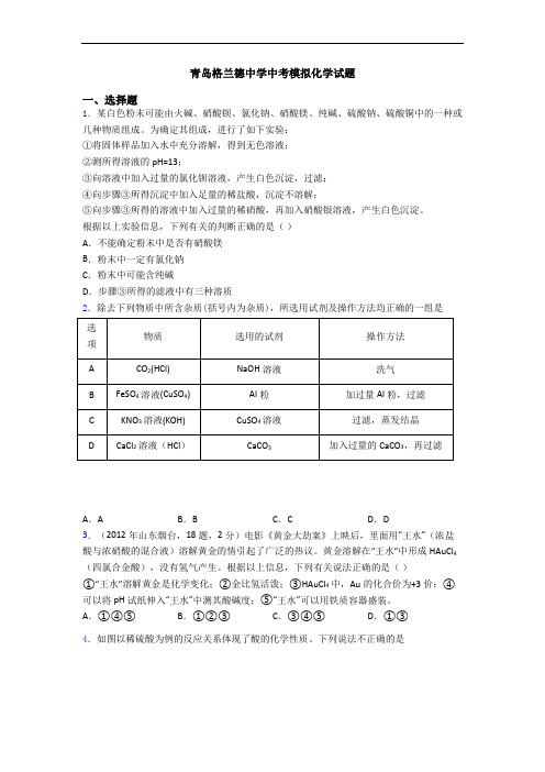 青岛格兰德中学中考模拟化学试题