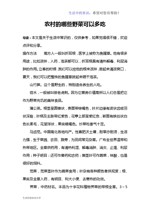 农村的哪些野菜可以多吃