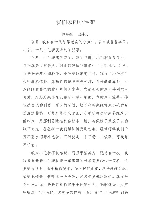 我们家的小毛驴