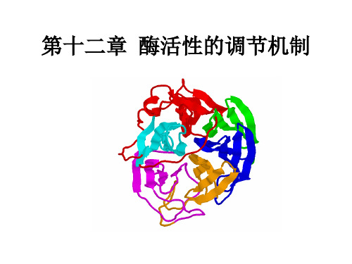 生物化学第十二章 酶活性的调节