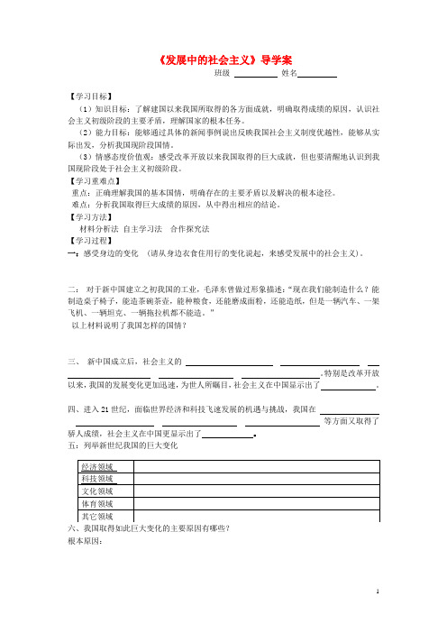 九年级政治全册 第五单元 第14课第二框 发展中的社会