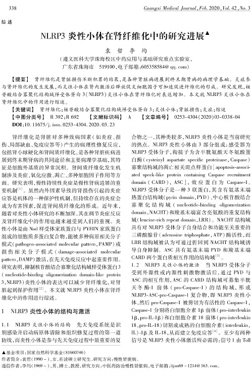 nlrp3炎性小体在肾纤维化中的研究进展