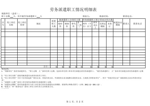 劳务派遣职工情况明细表