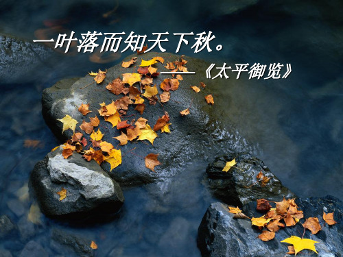人教版高中语文必修2第一单元《故都的秋》 课件39张PPT