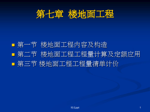 《楼地面工程》PPT课件 (2)