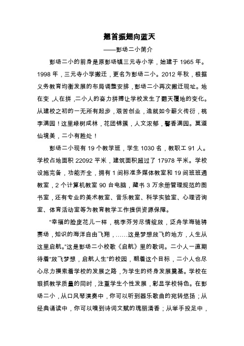 翘首振翅向蓝天