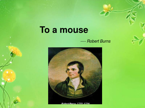 To a mouse