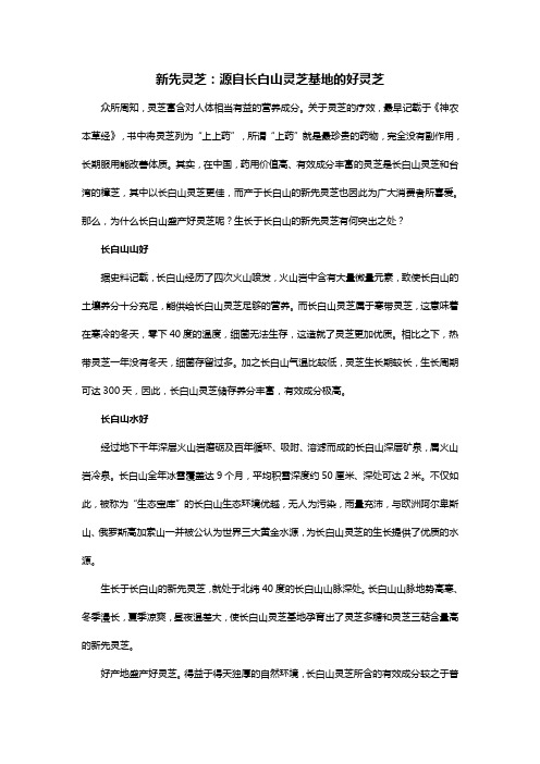 新先灵芝：源自长白山灵芝基地的好灵芝
