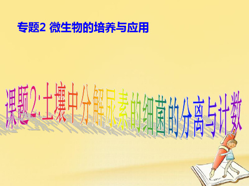 2018人教版高中生物选修一2.2《 土壤中分解尿素的细菌的分离与计数》课件1 (共19张PPT)