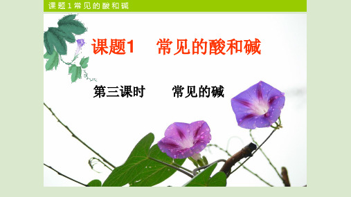 第三课时常见的碱第(共17张PPT)