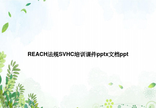 REACH法规SVHC培训pptx2专选课件