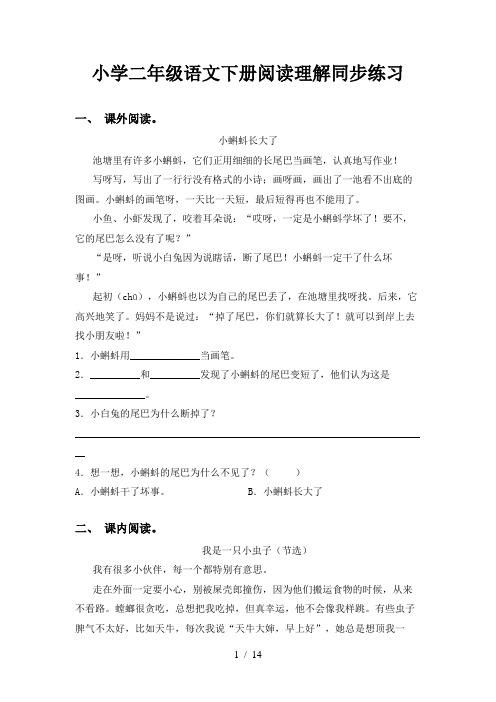 小学二年级语文下册阅读理解同步练习