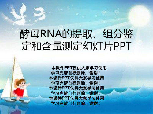 酵母RNA的提取、组分鉴定和含量测定幻灯片PPT