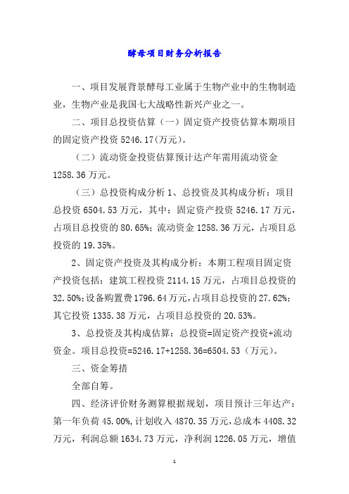 酵母项目财务分析报告word