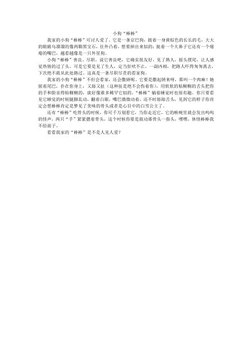 小狗棒棒