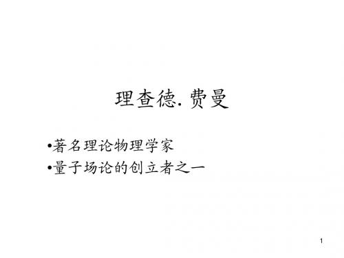 Feynmam11