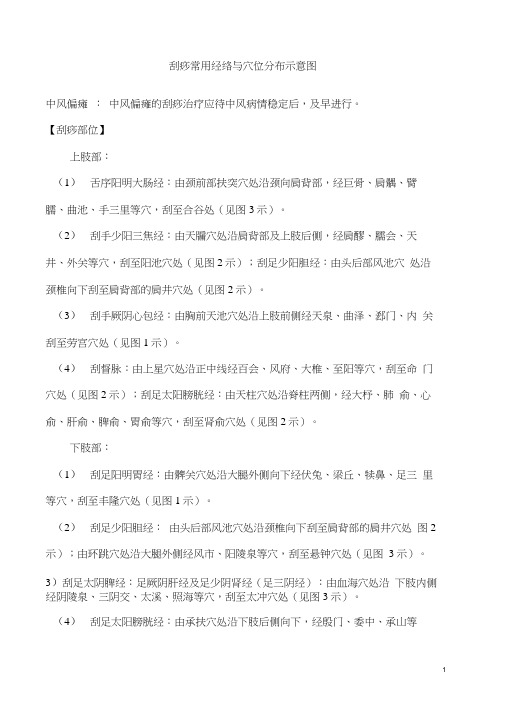 刮痧常用经络与穴位分布示意图