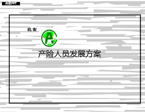上海平安保险公司员工职业发展规划方案PPT课件