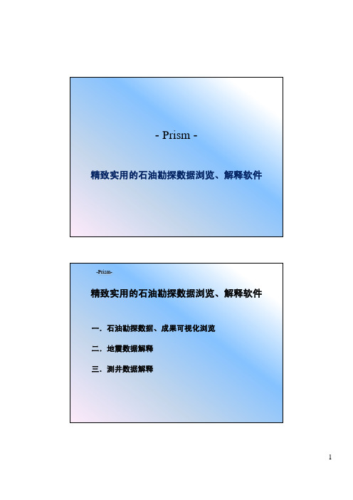 Prism软件介绍