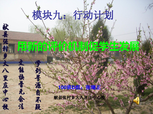 模块九_行动计划