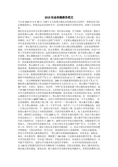 2015社会实践报告范文