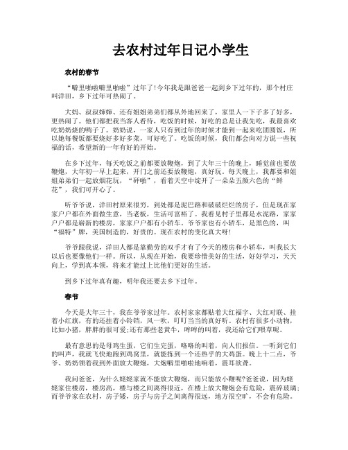 去农村过年日记小学生