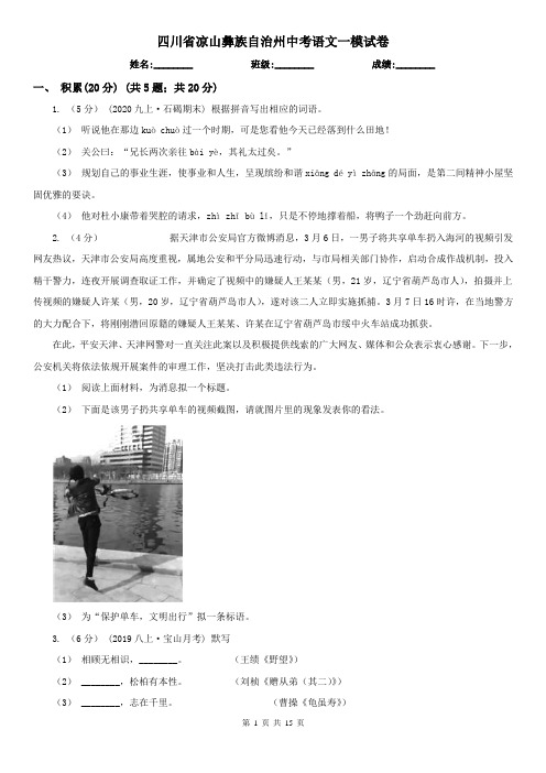 四川省凉山彝族自治州中考语文一模试卷