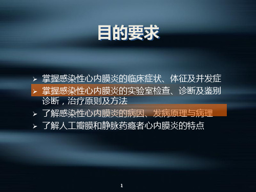 内科学三心内膜炎PPT课件