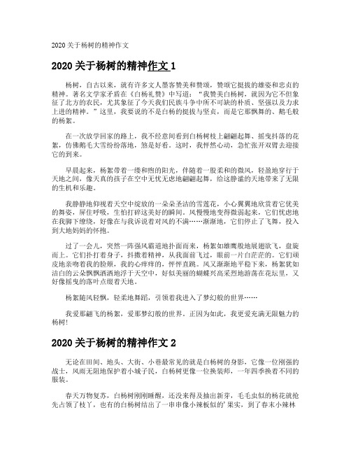 杨树的精神作文