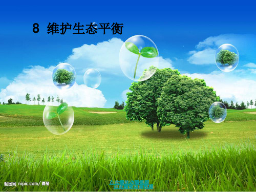 最新教科版小学五年级科学上册《维护生态平衡》精品课件