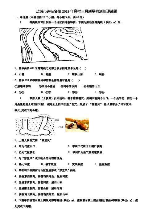 盐城市达标名校2019年高考三月质量检测地理试题含解析