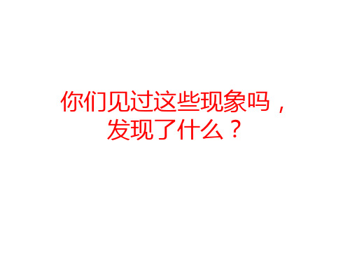 人教版六年级数学下册课件：4.3.2  图形的放大与缩小