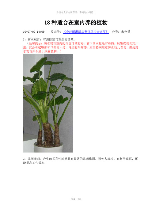 18种适合在室内养的植物