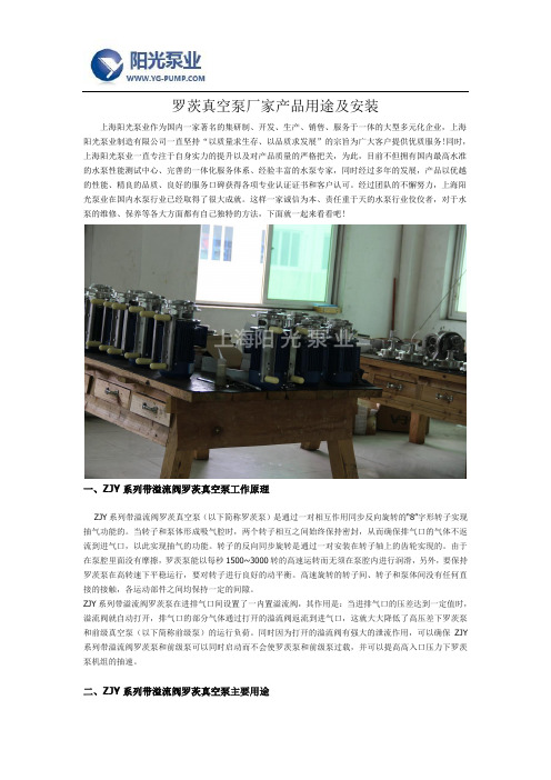 罗茨真空泵厂家产品用途及安装