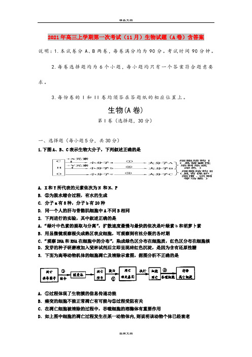 2021年高三上学期第一次考试(11月)生物试题(A卷)含答案